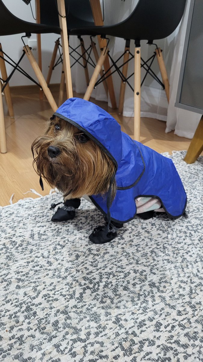 creatureperdue's tweet photo. Segunda vez que trajo a lequinha todinha sozinha e não tá chovendo https://t.co/9bm0CYDNMW