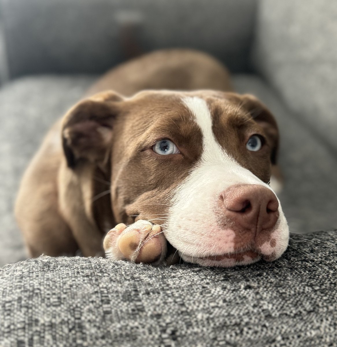 Bay Treasure Chest tweet media