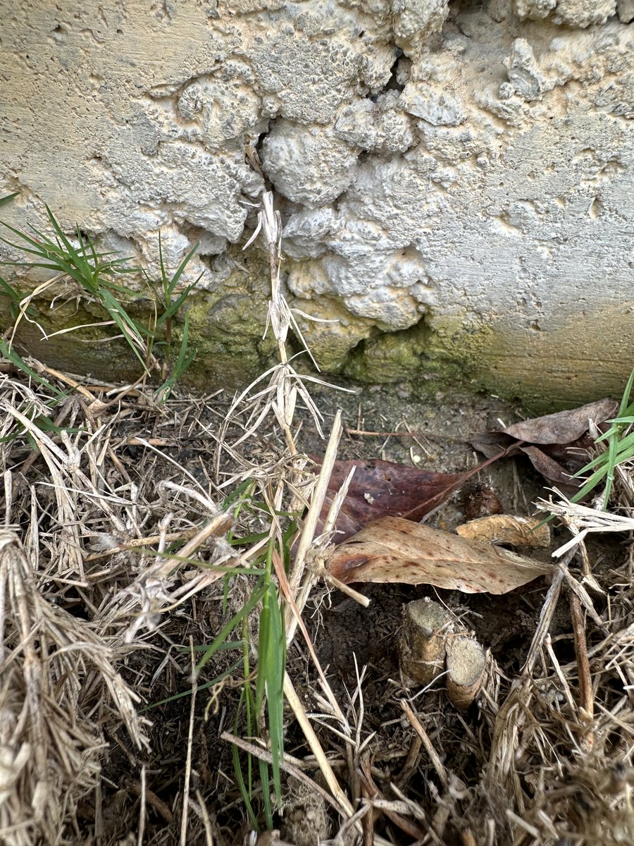 Mandiero3669's tweet image. @DRHorton #moorecounty #drhorton Does this foundation look normal to you #spalling? #ftliberty #pcs beware!!