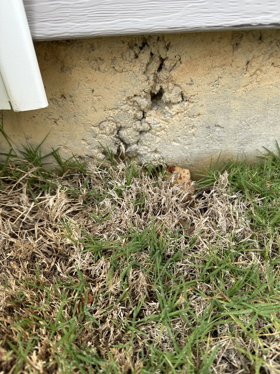 Mandiero3669's tweet image. @DRHorton #moorecounty #drhorton Does this foundation look normal to you #spalling? #ftliberty #pcs beware!!