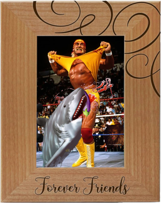 Cherished memories with your mates are way more important than CT. 

Go hang out with the blokes in the ocean... make some lasting memories bite some dicks.

Remember this <a href="/HulkCTO/">HULK</a> 

$shark

CA: 8M8J3tnhNuPC6aAXShh1PMbpUQENizThfqVHHjVqpump