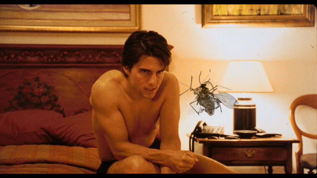 Felipe Henriquez tweet media