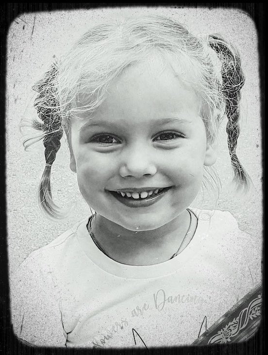 KimDotcom's tweet image. This is Lisa Kirnos, one of the little girls that Joe Biden killed with US missiles on a beach in Crimea, Russia. American drones and satellites were used to target this sweetheart with cluster ammunitions. Remember her when you vote in November.