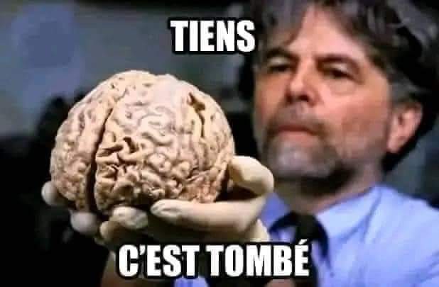 Ad_libitum1's tweet photo. @J_Bardella Chacun pense ce qu'il veut, mais je suis très mal à l'aise de voir un parachuté du RN gagnant très bien sa vie sur le dos de l'Europe sans avoir présenté un travail convenable, venir dire à des gens qui gagnent 1300 ou 1400 euros la manière dont ils doivent voter https://t.co/WSsGtis3mr