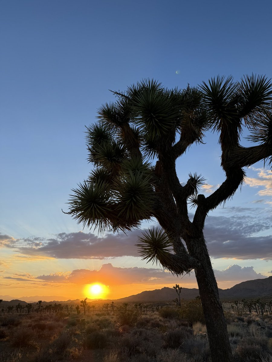 whyischelsea's tweet photo. Sunset https://t.co/vEIGXfx652