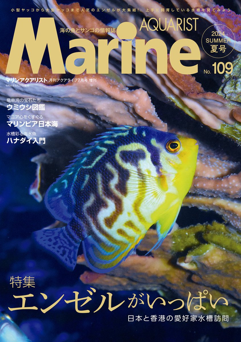 マリンアクアリスト