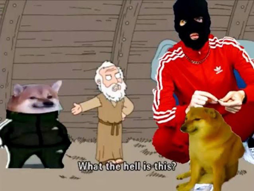 the memes are actually hilarious