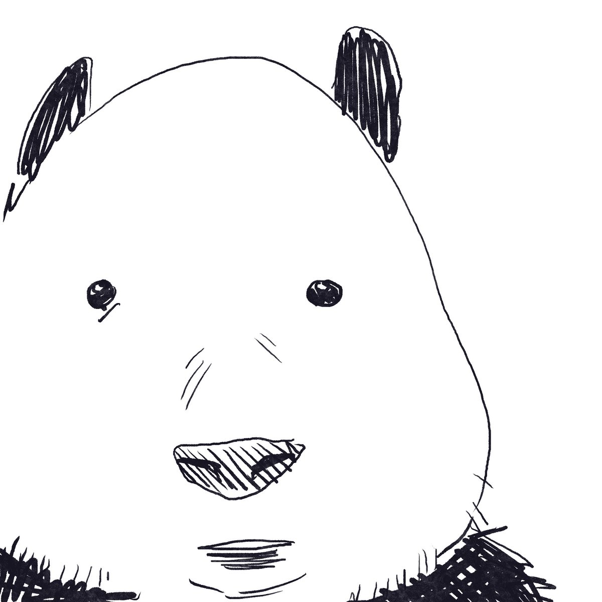 alisyoodles's tweet photo. https://t.co/dOdYRgO1Lr