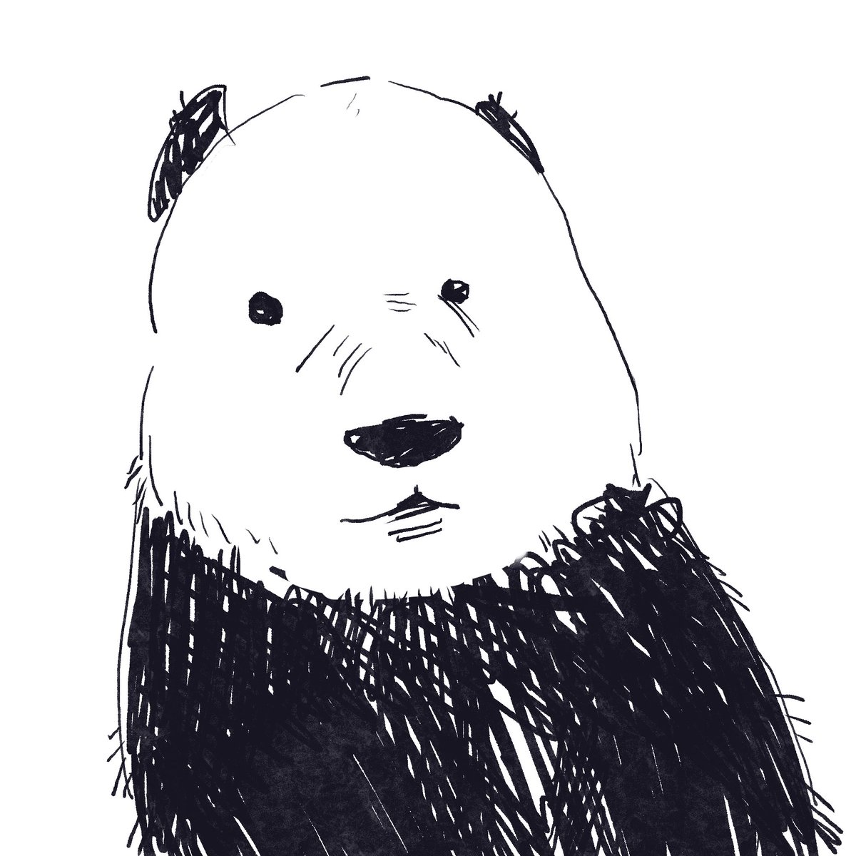 alisyoodles's tweet photo. https://t.co/dOdYRgO1Lr