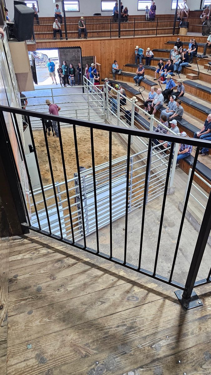 IPMPestScout's tweet photo. It was an absolute pleasure to share time today with @nactateachers learning about the Amish and Mennonite heritage of Wayne and Holmes Counties! A visit to Behalt and the Amish Heritage Center, followed up with stops at the Mt. Hope livestock auction and Farmers Produce Auction! https://t.co/nLs3jh9JaA