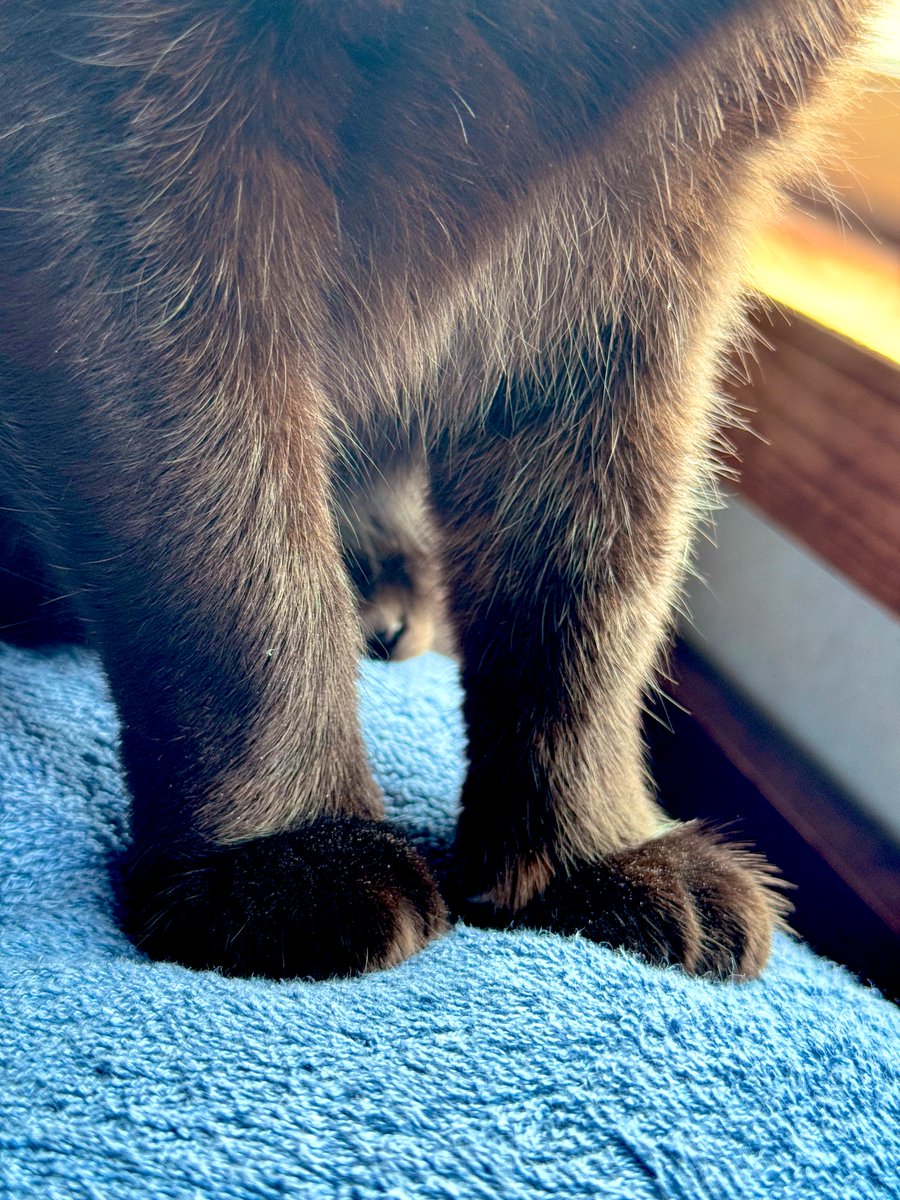 う に 🐾 tweet media