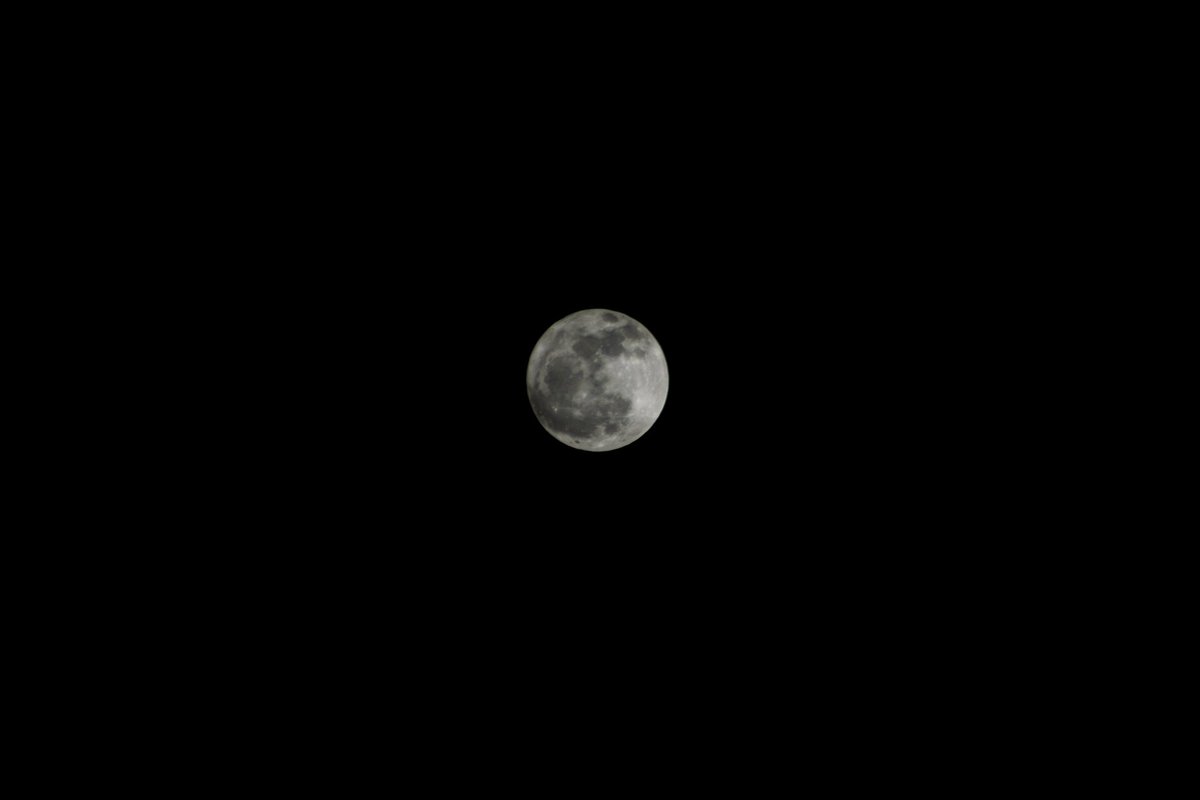 littlestmess's tweet photo. Amaré y le tomaré fotos a la luna mientras esté aquí 🤍🌙 https://t.co/lDUuGLe2k1