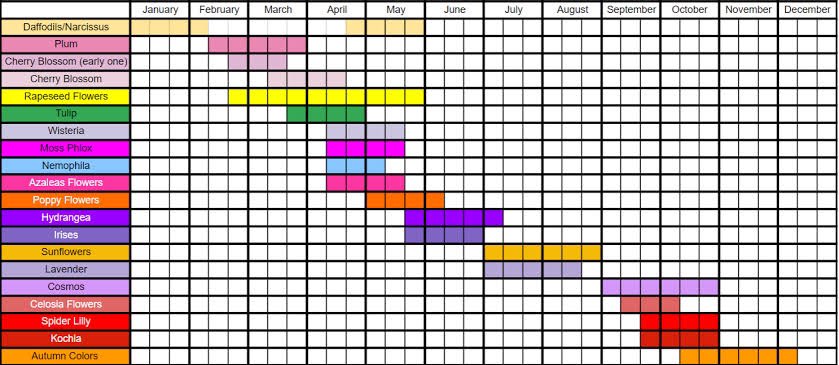 kittykat9312's tweet photo. For your reference, here is the flower blooming seasons in Japan. We’ll soon be heading into sunflower season. https://t.co/gOlgm3iM8o