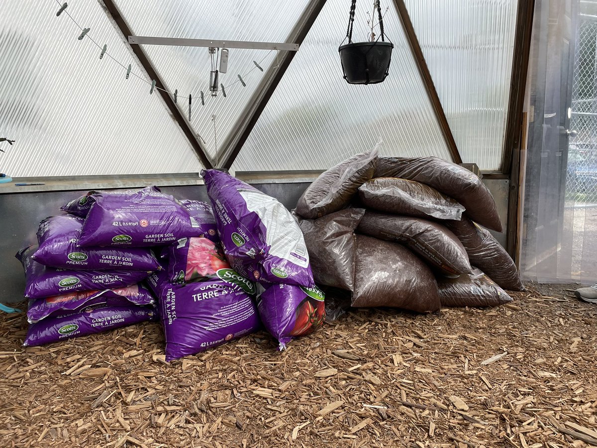 Capitol Hill School CBE tweet media