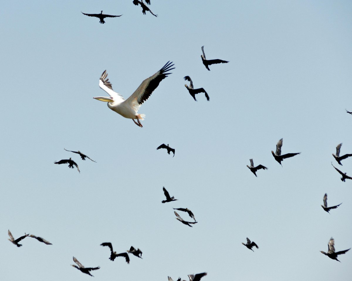 LightRocket Enterprise tweet media