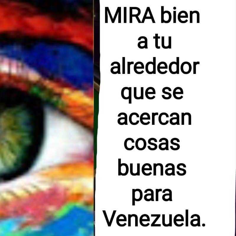 MIRACojedes's tweet photo. Desde el estado cojedes el Movimiento MIRA felicita al heroico pueblo boliviano,  por la valiosa intervención antes el golpe fallido por parte del fascismo en la República Plurinacional de Bolivia. https://t.co/wCDsB66bV2