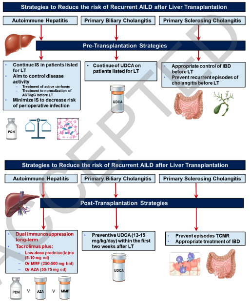 Review &amp; expert opinion statement: Recurrence of autoimmune liver diseases after liver #transplantation
by Montano-Loza et al
 
journals.lww.com/lt/abstract/99…

#liverX #livertwitter #livertransplant