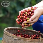 Photo by Tierras Planas Roasters (@TPRoasters)