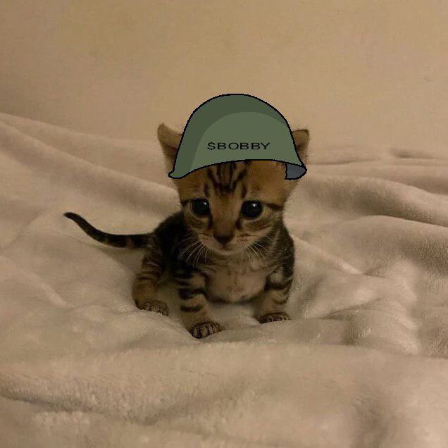 im too cute to stay in the trenches