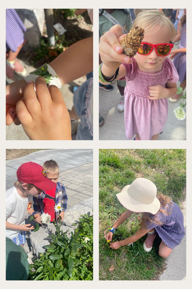 Angelique Campbell tweet media