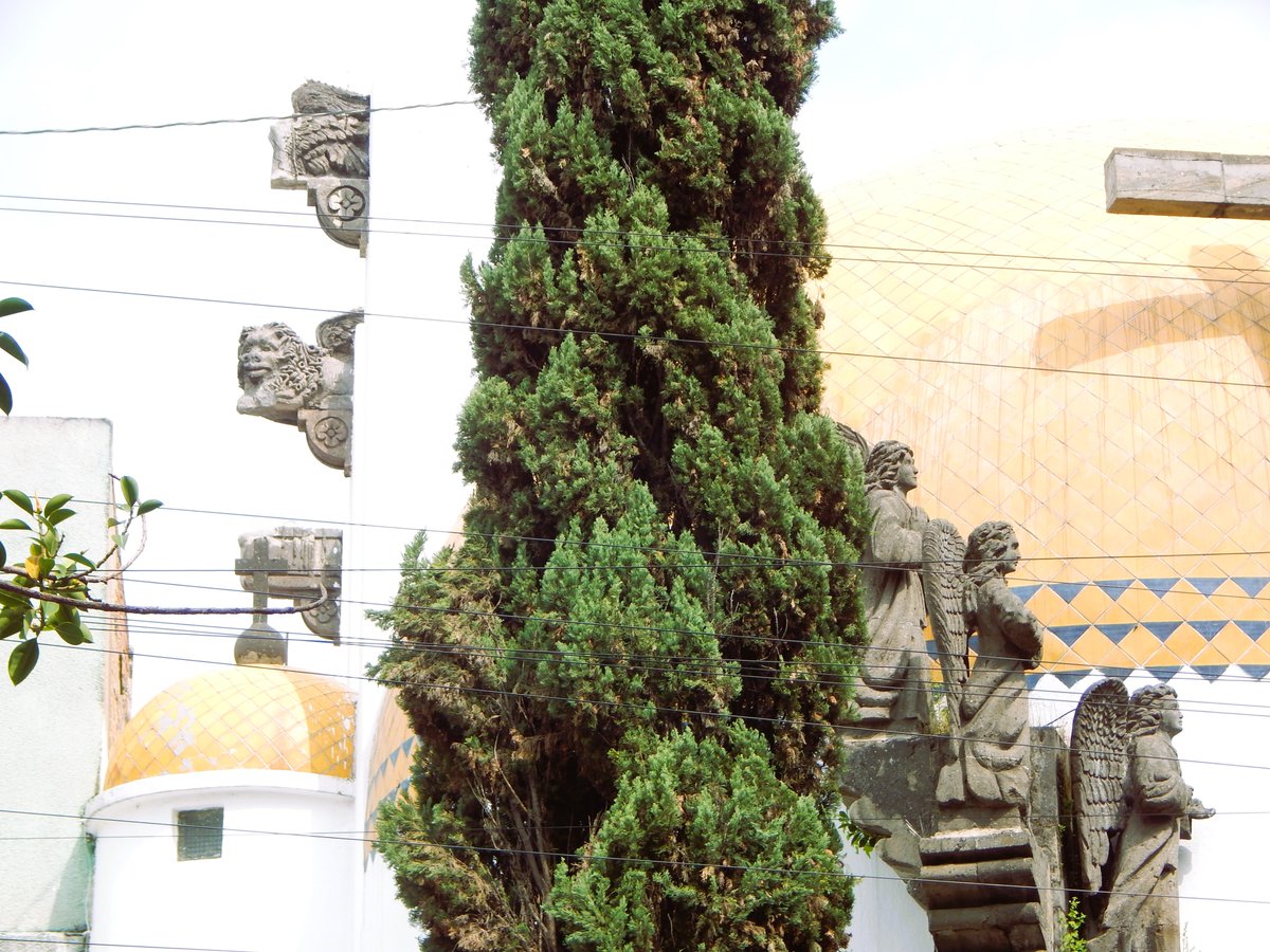 Enrique40026443's tweet image. Detalles del Templo de San Francisco de Sales.

#nikon #nikoncoldpixl830 #guadalajara #guadalajarajalisco #jalisco #mexico 
#edifícios #edifíciosantiguos #historia #arquitectura #arquitecturatapatía 
#tapatíos #casas #casasantiguas #templo #templos 
#iglesias #iglesia