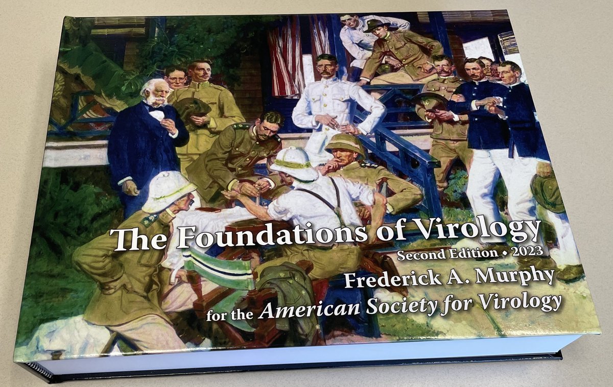 A. Lorena Passarelli tweet media