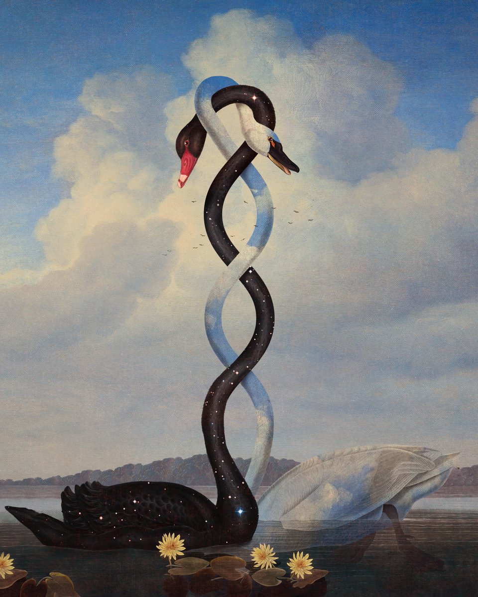 mendezmendez's tweet image. opposites attract