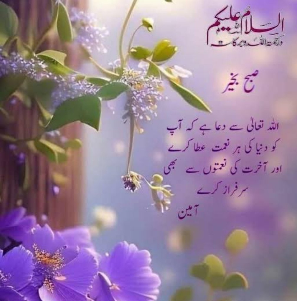 السلام وعلیکم ورحمتہ اللہ وبرکاتہ

صبح بخیر زندگی