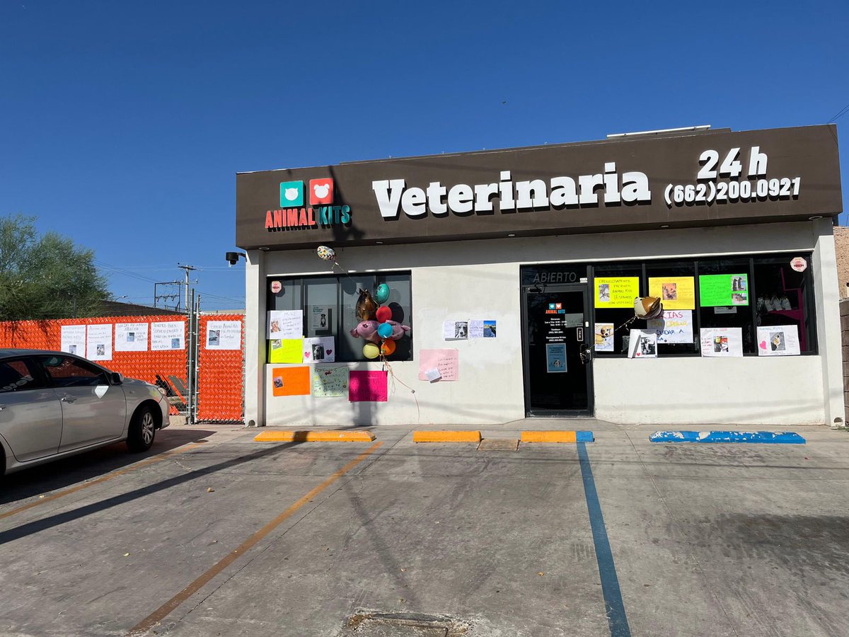 elalbertomedina's tweet photo. Clientes de Animal Kits muestran su apoyo a la veterinaria tras caso de la muerte de la perrita 'Channel' en #Hermosillo.

Con globos, mensajes en cartulinas y dibujos, diversas personas han mostrado su respaldo a este negocio, donde días antes se reportó el fallecimiento de una perrita pomerania, un caso que es investigado por @fgjesonora como presunta negligencia y por lo cual se aseguró el inmueble.

📸 Redes sociales