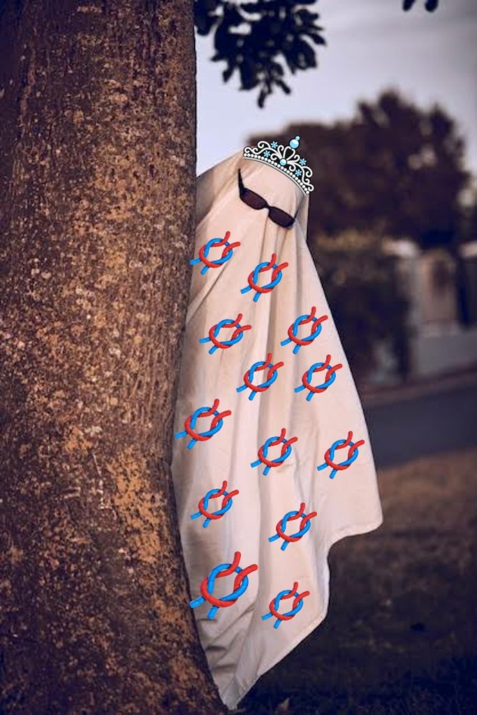 🪢Lis das docxuzinhas🪢🧄🌻🧄 tweet media