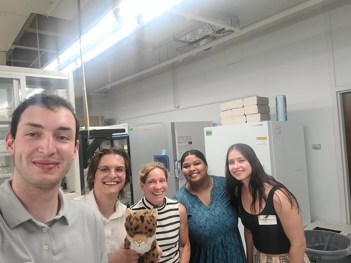 Stern Lab tweet media