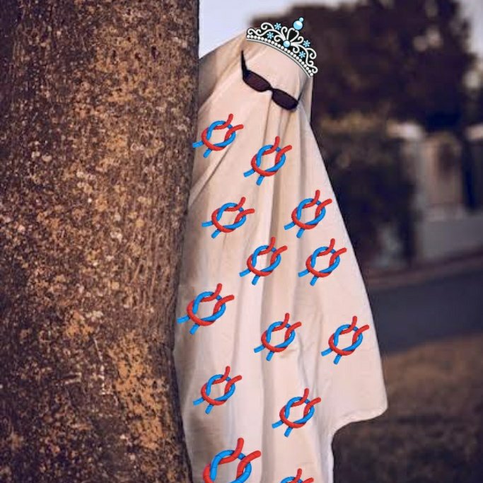 🪢Lis das docxuzinhas🪢🧄🌻🧄 tweet media