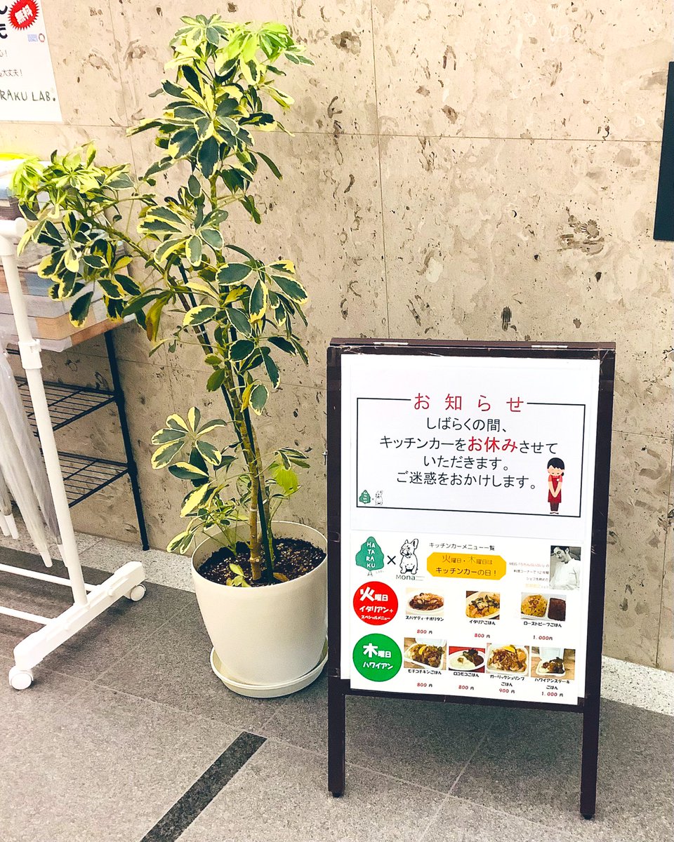 【お知らせ】
しばらくの間、キッチンカーはお休みさせていただきます。

ご利用者の皆様にはご迷惑をおかけしますが、
どうぞよろしくお願い致します。