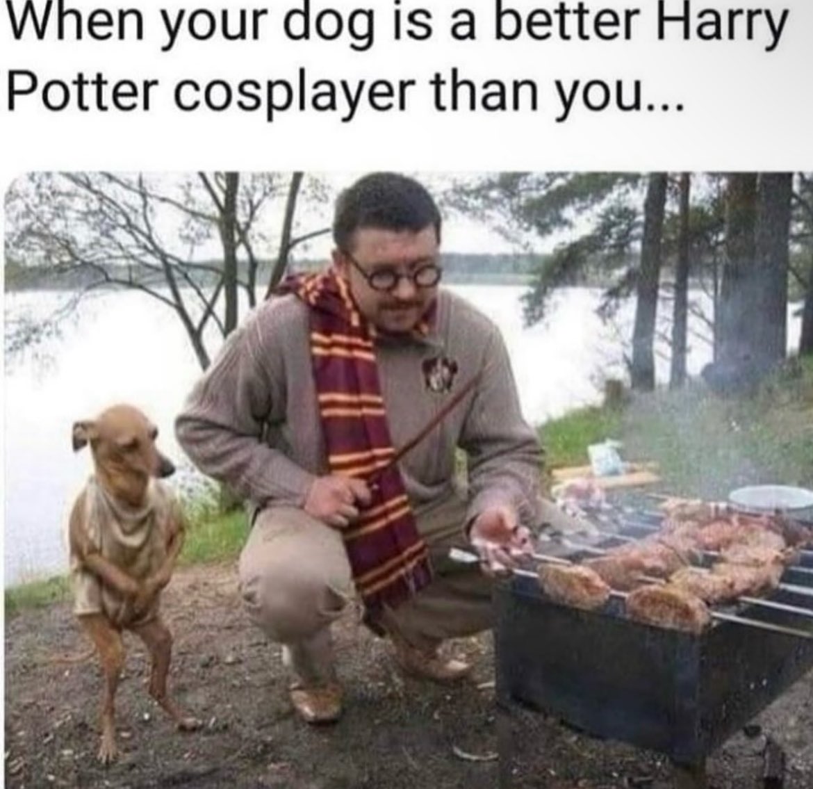 GRCmYXZXkAM_fwJ