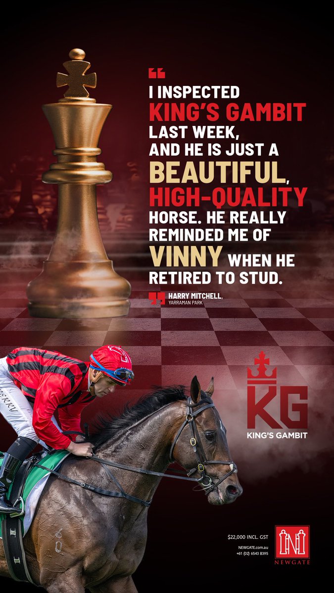 MonNeill's tweet image. KING'S GAMBIT ♟️
🗣️Arguably the best-looking 1⃣st season sire in the Hunter Valley @NewgateFarm ‼️
⚫️🔴Extraordinarily Talented 🌪️
⚫️🔴Elite G1 Speed & Precocity 🚀
⚫️🔴Extraordinarily Attractive 🤩 (Just ask Harry @yarramanpark ‼️)
☎️One less decision in 2⃣0⃣2⃣4⃣
#ItsPossible
