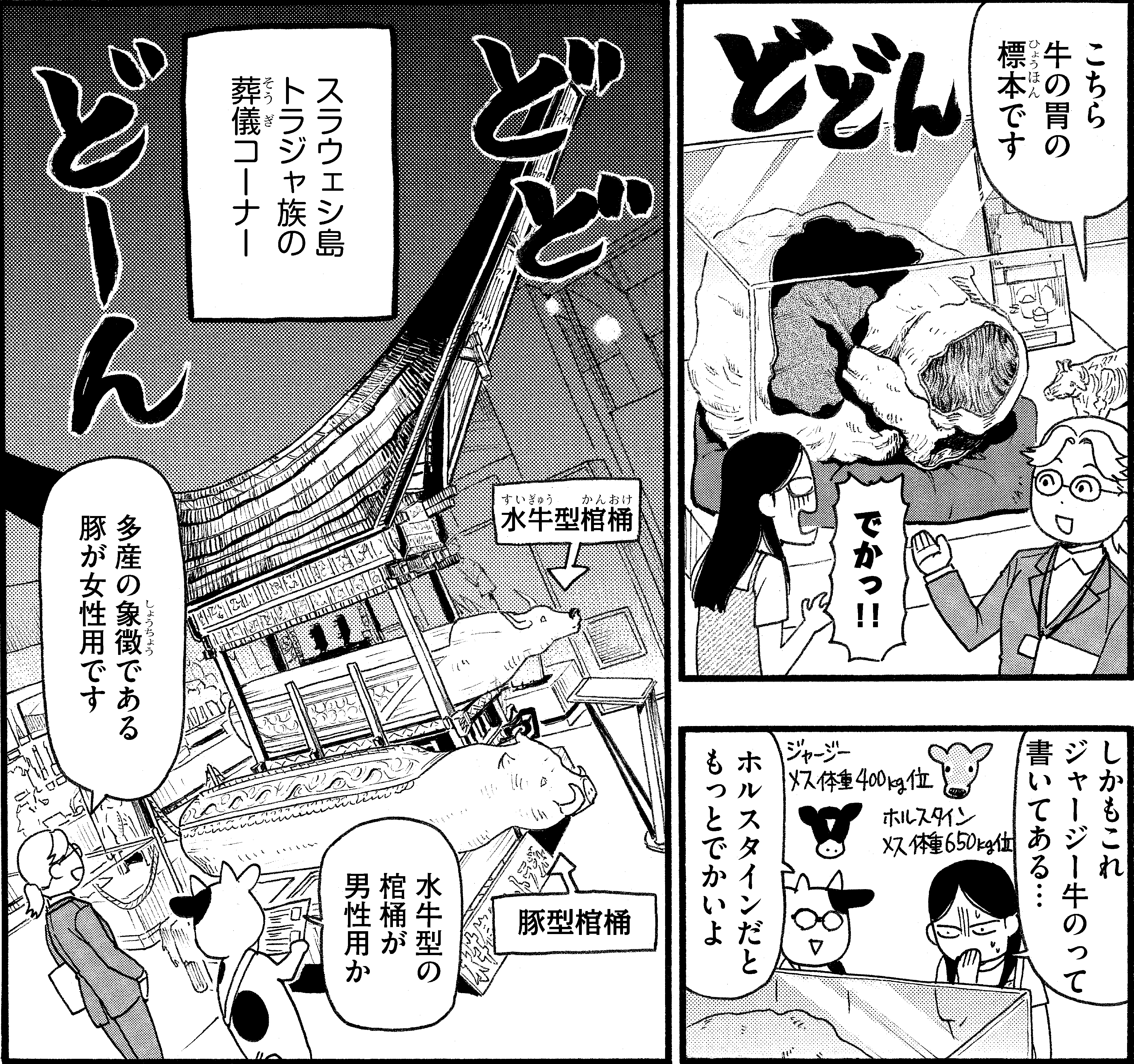 値下げ大正発行の貴重書籍、雑誌8冊 ☆中古本 8冊1500円 1冊目300円以降お値引き - メルカリ