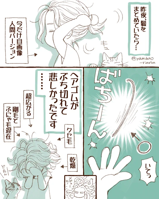 #今日の山野絵
ヘアゴムがぶち切れて悲しかった話。
壊したヘアゴムやヘアアクセは数知れず…

「自分の髪はボリュームがなくて…」
というおリプはお互いツライので、
控えていただけると嬉しいです… 