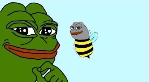 Still trading Solana tokens on Birdeye, anon?