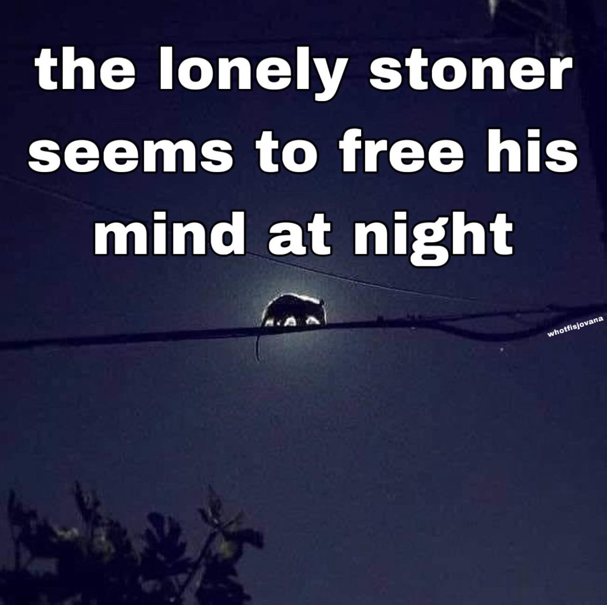 stoner – welcome to my happy place, image size:1200x1196