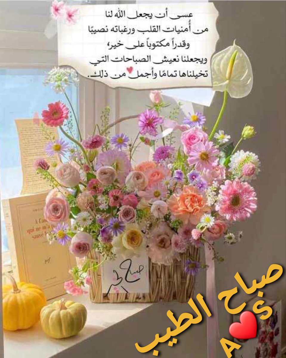 ف #صباح_الطيب أسألك ربي
حياة ملؤها السعادة والرضا والتوفيق
ويوماً جميلاً مليئاً بلطفك وفضلك وكرمك
  وان ترزقنا الستر والصحة والعافية وراحة البال والرزق الحلال وحسن الخاتمة

اللهم نصرك ل اهلنا ف #غزة

#صباح_الطيب
#صباح_الخير

#الطيب 🎩