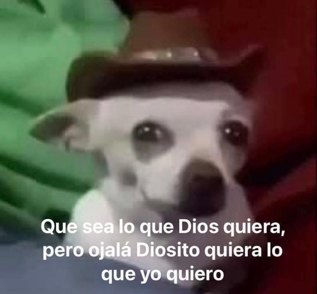 Peseteiro tweet media