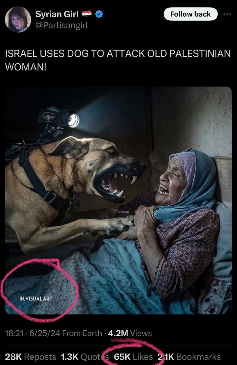 Marina Medvin 🇺🇸 tweet media