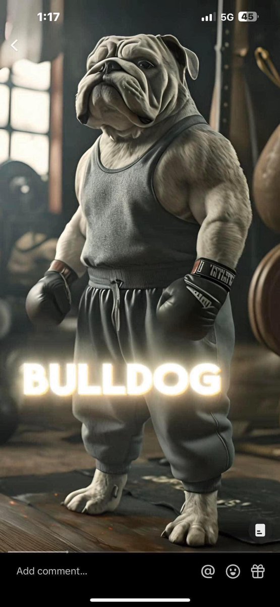 collectibulldog's tweet photo. @spike_osullivan I told my American friend I have a boxer endorsement for bulldogs. She changed it round a bit.
#Shoutout #Boxers #ProFighters https://t.co/0WRPMrGjg6