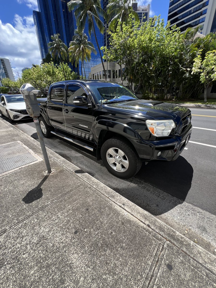 *! (›:3) !+🕷 tweet media