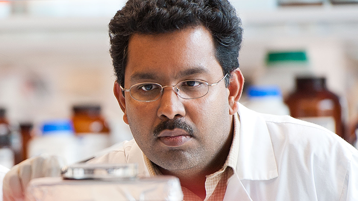 Science in Vancouver (@sciencevancity) on Twitter photo A total of 157 new programs and projects led by <a href="/UBC/">University of British Columbia</a> researchers were awarded more than $36 million through the 2024 <a href="/NSERC_CRSNG/">NSERC / CRSNG</a> Discovery Research Program competition.
🤩 Congratulations to all awardees including Dr. <a href="/JayKizLab/">Jay Kizhakkedathu Lab</a>! See the complete list: bit.ly/4eIZb9x A total of 157 new programs and projects led by <a href="/UBC/">University of British Columbia</a> researchers were awarded more than $36 million through the 2024 <a href="/NSERC_CRSNG/">NSERC / CRSNG</a> Discovery Research Program competition.
🤩 Congratulations to all awardees including Dr. <a href="/JayKizLab/">Jay Kizhakkedathu Lab</a>! See the complete list: bit.ly/4eIZb9x