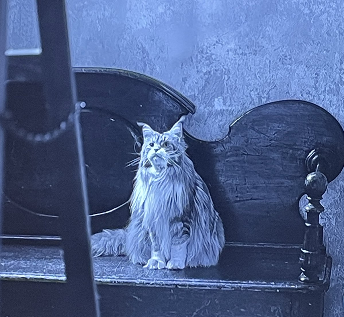 lost everything betting on the sushi race tweet media