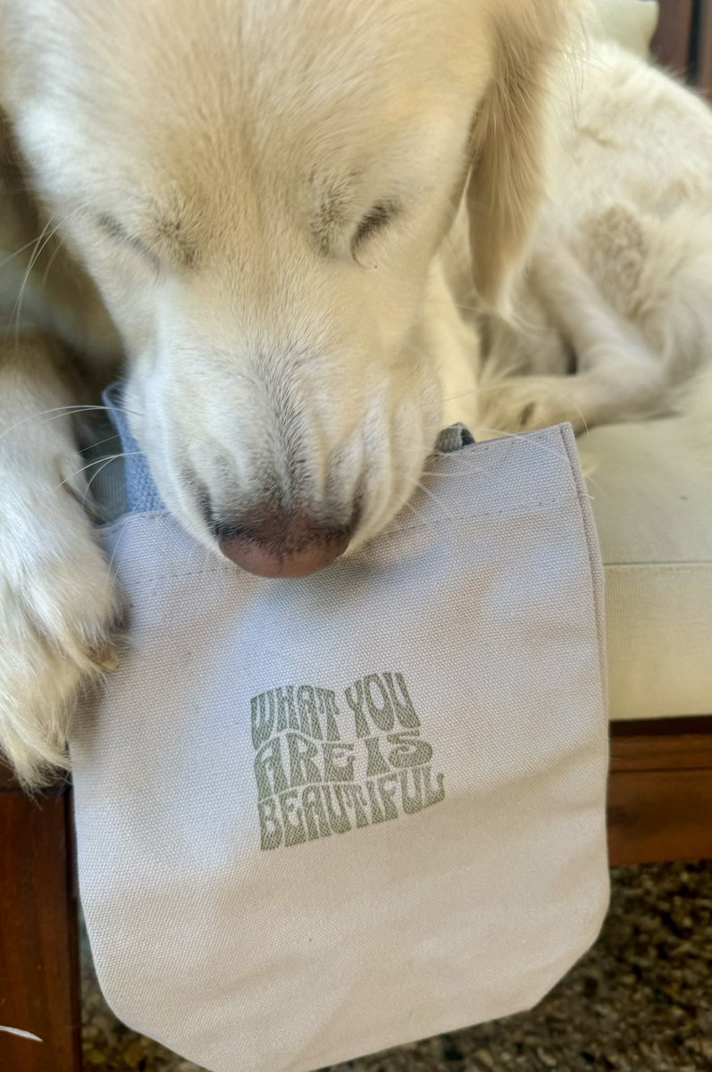 I completed a 5.33km Other (Time) for Ava 😇 #NunsRunTheWorld &amp; #WarriorNunRun!

We've run 77902km.

"Walkies with my 🍁 Maple gurl"
(Yesterday's log)

📸 a reminder 🏳️‍🌈☺️

Log yours tinyurl.com/nun-run

 #SaveOURWarriorNun #FreePalestine via <a href="/NunsRunTheWorld/">#NunsRunTheWorld 🇵🇸</a>