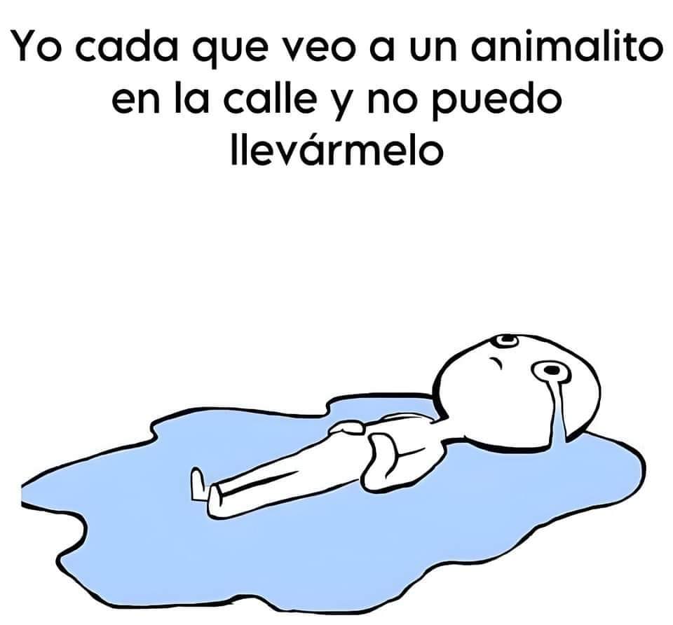 Sabueson's tweet image. 