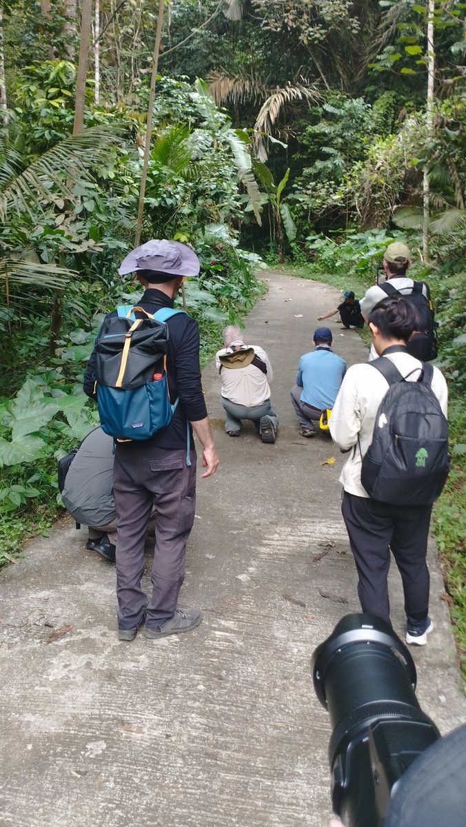 asmanraptor's tweet photo. Excursion from member of IUCN SSC Asian Song Bird Trade Specialist Group to Jatimulyo Bird-friendly Village after four days in-person meeting at Atma Jaya University

@IUCN_Songbirds @Bisa_ID @CrazyBirdGuy14 https://t.co/e3zpWhbWiq