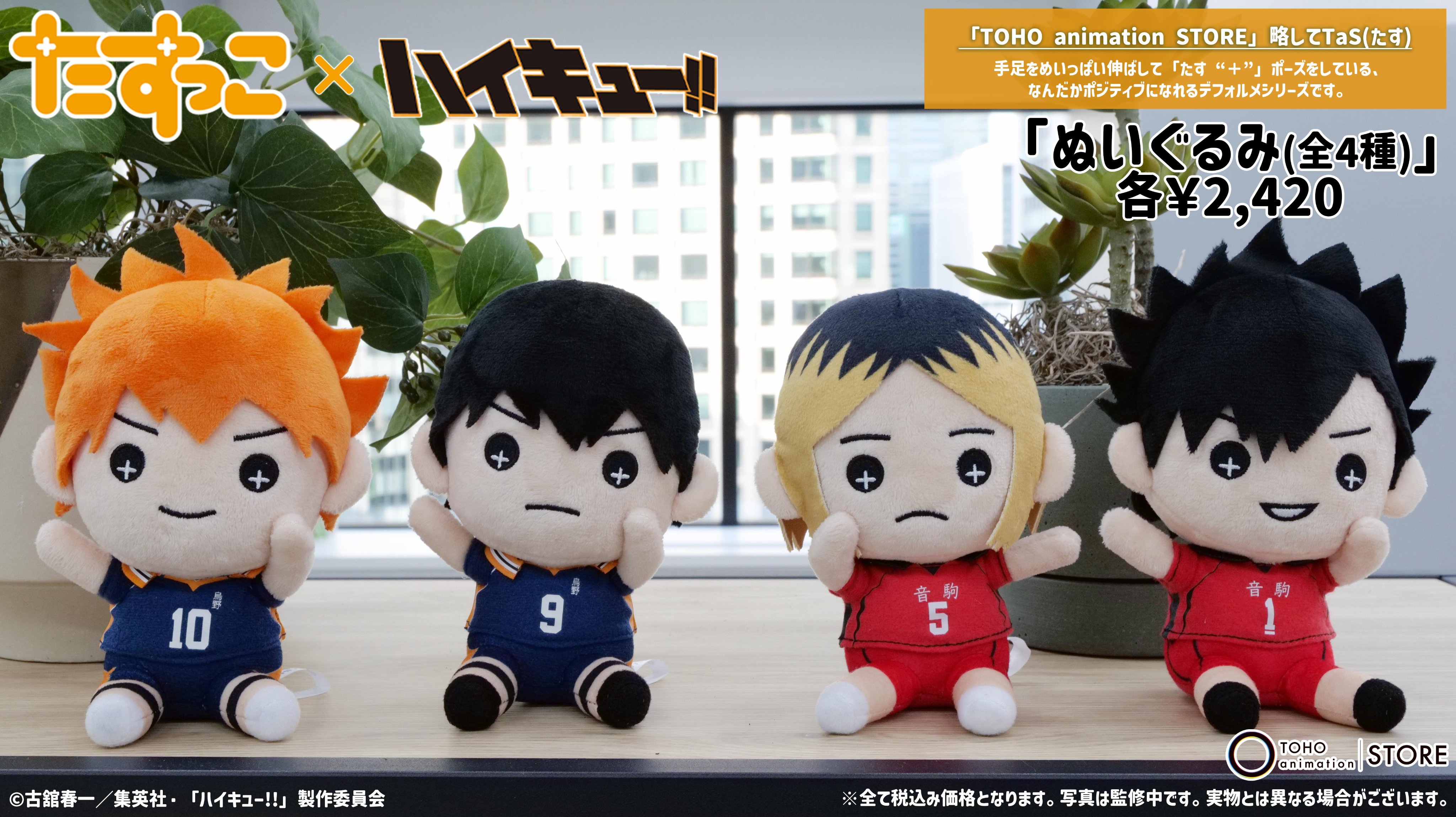 TOHO animation STORE on X: TOHO animation STORE on X: